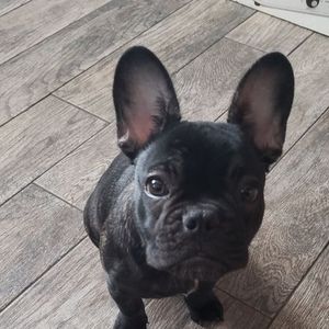 Meet your Posher, Cynthia